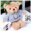 30cm voice recording plush teddy bear