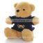 Custom Personalized Stuffed Animals 2 Meter Teddy Bear