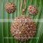 fashion copper pendant jwelry manufacturer, costume fashion jewelery copper pendants exporter