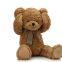 SHY BEAR