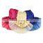 Lovely Lace Mesh Dogs Dress Pet Sequin Wedding Dresses for Dogs skirt