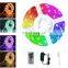 SMD5050 RGB 150LEDS 5M 44KEY controller with power adapter led strip kit light