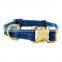 new design dog collar with metal buckle accept custom color pet collar