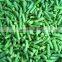 Sinocharm New Season BRC Approved IQF Cowpea IQF Cut Long Bean Frozen Asparagus Bean
