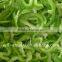 Cabbage Cutting Machine/Carrot Slicing Machine