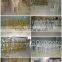 Venezuela1 event bar chair and dining chair for wholesale