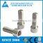 high strength 316L DIN913 stainless steel security screws