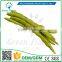 Greenflower 2016 Wholesale artificial PU Green beans China handmaking decoration