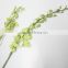 Fragrant aroma factory direct decorated autumn imperial orchid