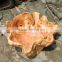 FDA Handmade and Factory Price Wood Root Carving party Bowl