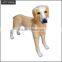 display dog mannequin animal manikin for sale