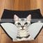 Ice Silk Women Briefs Seamless Sexy 3D Print Cats Panties 01