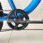 New Product Blue Big Tyre Snow Sand Beach Fat Bike