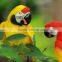 Resin parrot statue