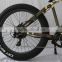 high power fat tire e snow bicycle for sand use