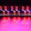 High Efficiency 1000W LED Grow Lights Full Spectrum For Hydroponic Systems