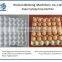 egg tray drying machine/egg tray dryer/paper egg tray drying line