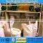 ISO BV certificate used flour mills for sale