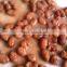 Supply Canned broad beans in brine with high quality for sale