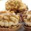 Factory Price Bulk Walnut in Think Shell