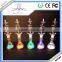 Holiday/New Years Eve/Parties colors changing bottle led light with Remote control