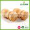 2016 High Quality 2 Pcs Wooden Salt and Pepper Shakers