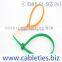 UL Approved Nylon 66 Cable Ties Plastic