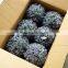 2015 new factory directly popular decorative artificial flower ball