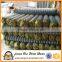 Pvc coated woven mesh galvanized chain link fence