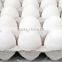 Supplies Of White Shell Chicken Eggs With Best Quality