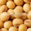 Soybeans - Bank Guaranteed