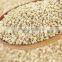 AMARANTH SEEDS