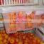 Citrus orange baby mandarin orange with wholesales price