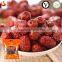 Freeze Dried (FD) Chinese Red Dates Chips