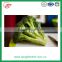Shandong high quality fresh broccoli for sale 1100-1200g/pc