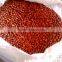 RED SKIN BOLD PEANUT KERNEL SUPPLIER 50/60