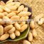 HACEP Certification roasted blanched peanut kernels