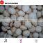 2015 good quality prices IQF champignons halves/dices/slices