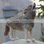 plush animal pet custom soft zoo toys wolves anime factory