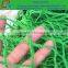 PE Football Court Net/Sports Net/Volleyball Net factory from China