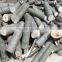 wood chipping machine/wpc chipping machine /recycled wood chipper