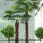 SJH4474 Palm tree with cheap price palm tree for OUTDOOR decoration