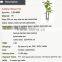 Artificial indoor plants and trees for home and garden decoration evergreen ornamental plants