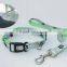 Fashion ECO-friendly Refective Silkcreen Logo Plus Nylon Dog Collar And Dog Leash