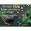 Plastic BOP Anti Bird Net&mesh Fruit&garden Protect Net&mesh Agriculture Anti Bird Net&mesh(factory)