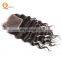 Human Hair Weave Bundles Virgin Brazilian Remy Hair Top Closure Grade 8a Curly Virgin Hair with Closure