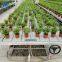 Greenhouse adjustable table with nursery tray ebb and flow bench