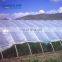 clear transparent roof polyethylene cover film plastic sheeting for greenhouse