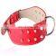 HQP-MP002 HongQiang Dog Collar Rivet Studded Collar Neck Strap Pitbull BullDog punk style Collars PU Leather