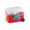 Outdoor Camping Food Cooling Storage Insulated Plastic Ice Chest Cooler Box 50L